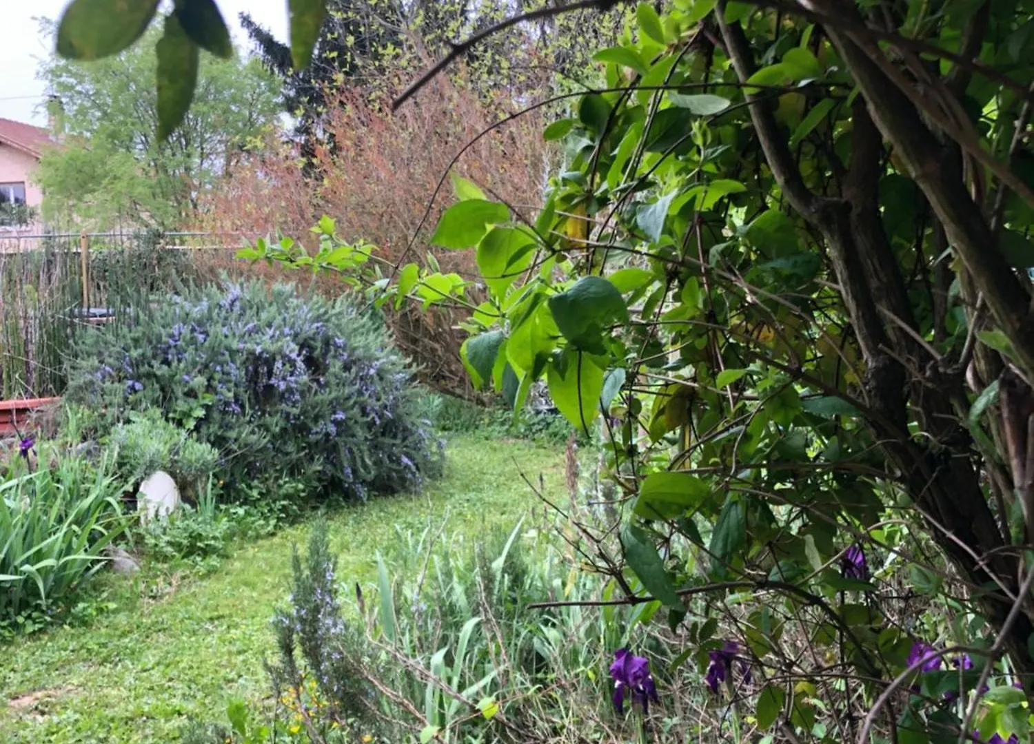 Condrieu 1er étage climatisé appartement entier 90m2