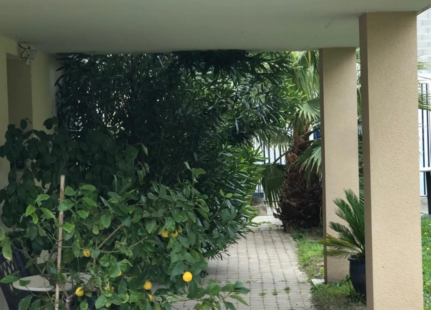 Condrieu 1er étage climatisé appartement entier 90m2 0*,